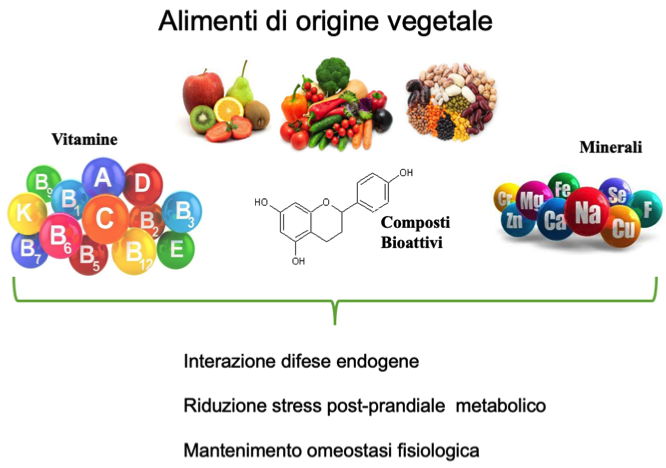 Totipotenza dei componenti bioattivi degli alimenti di origine vegetale