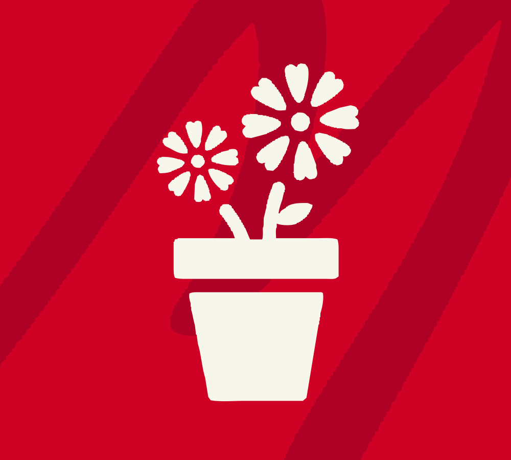 I fiori di Arianna I fiori di Arianna