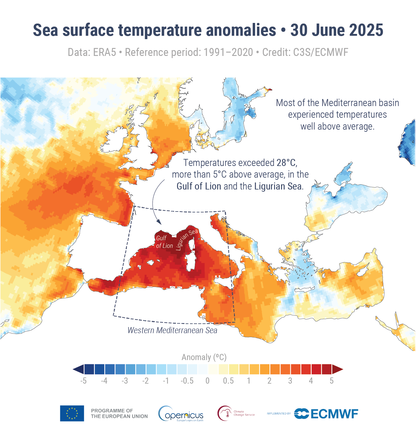 temperatura marina giugno 2025