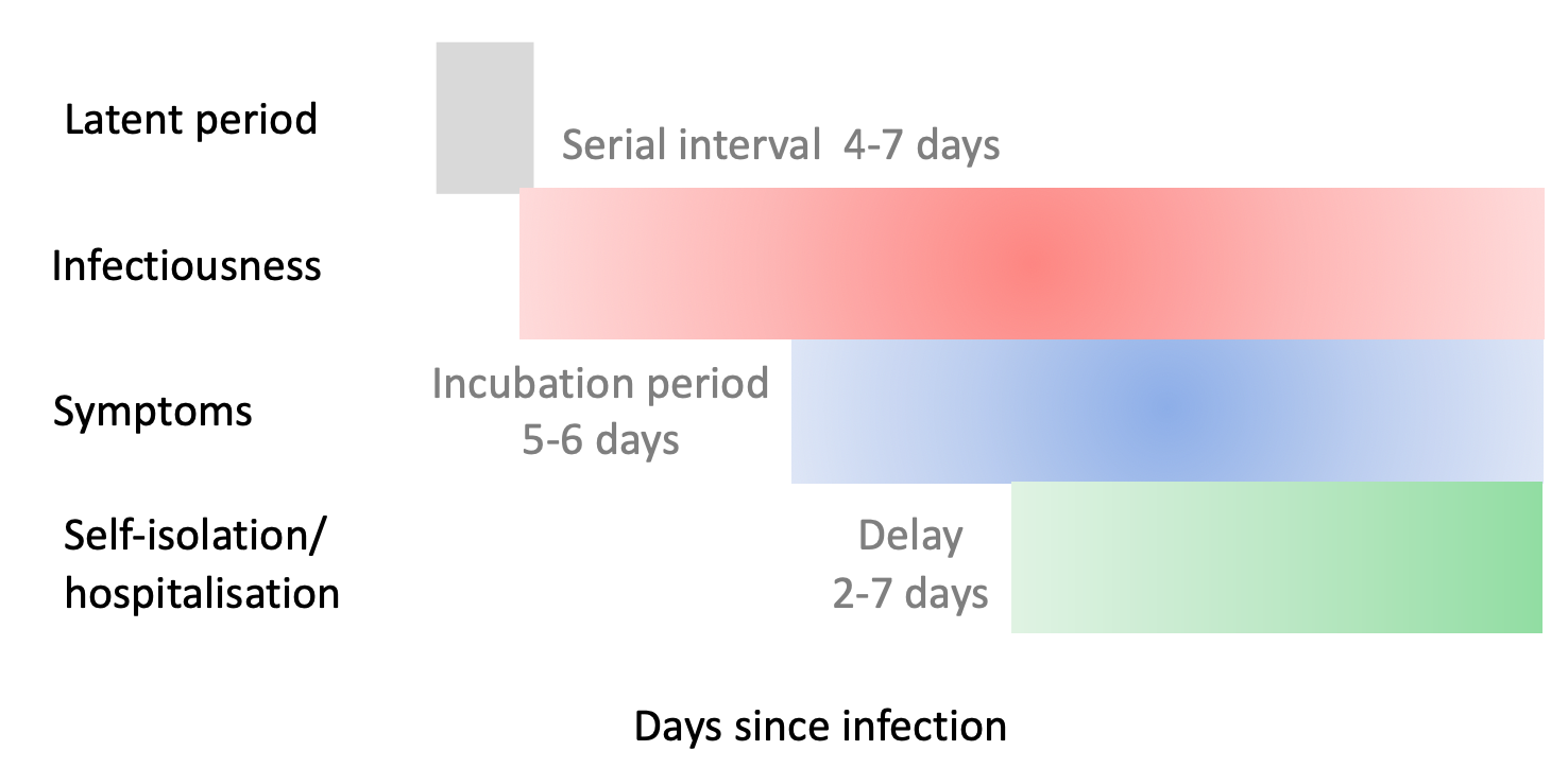  Caratteristiche dell'infezione da COVID-19 che condizionano il modo in cui le misure di mitigazione incideranno sulla curva epidemica. Se la contagiosità comincia prima dei sintomi diventa cruciale il ritardo con cui una persona contagiosa cerca cure o si auto-isola.