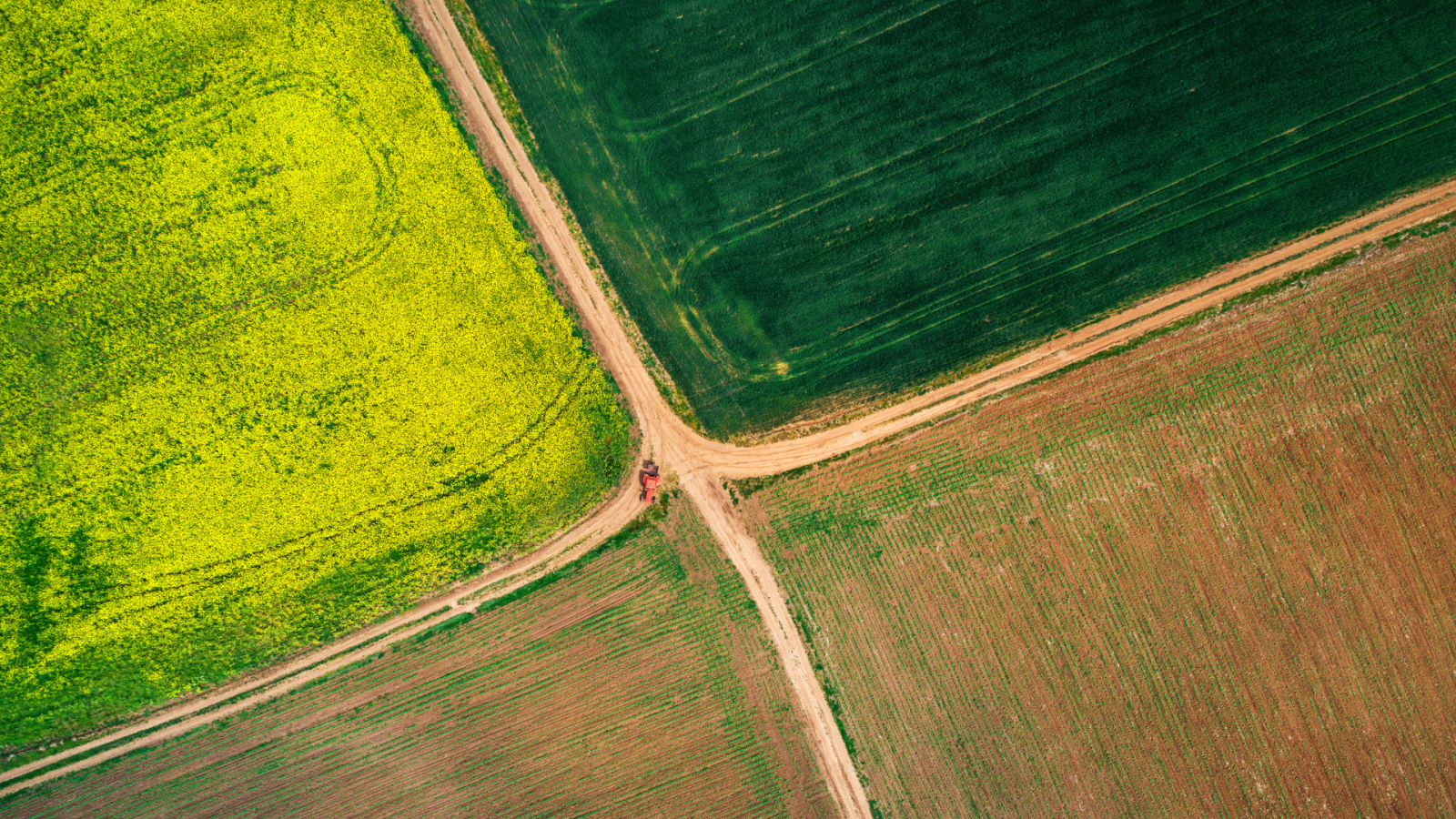 visione aerea di campi coltivati