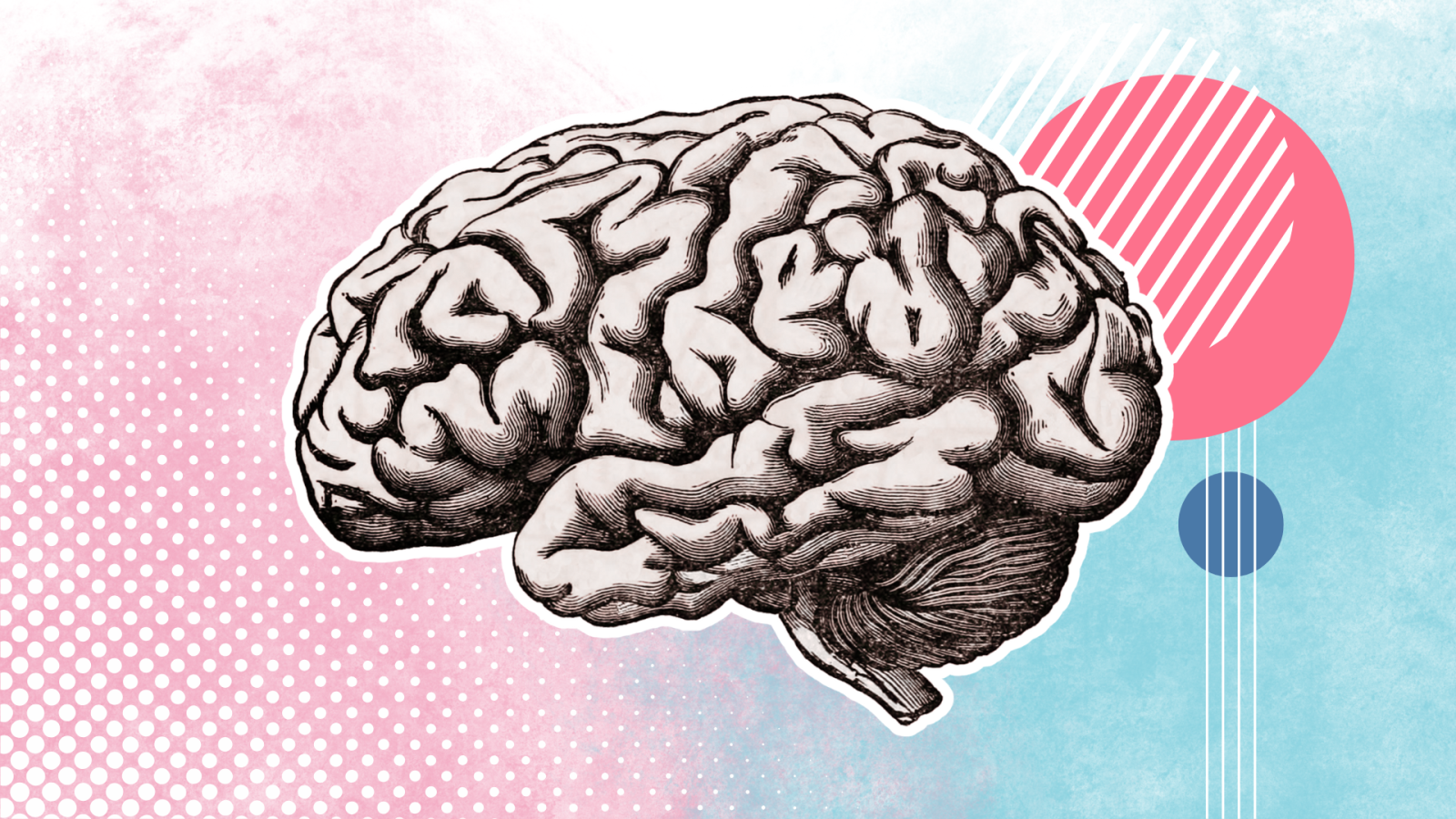 cervello con elementi grafici