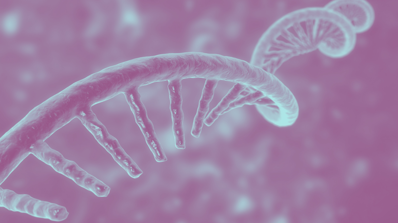 una molecola di mrna