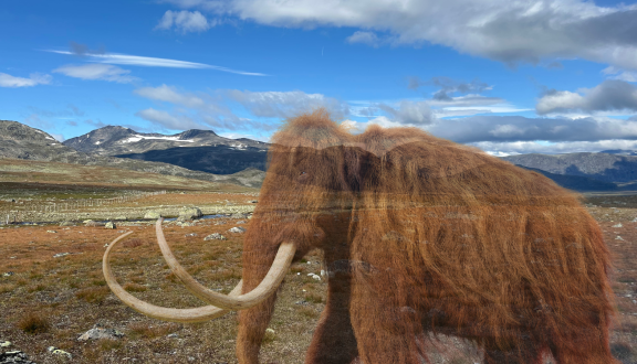 steppa con mammut semitrasparente in primo piano