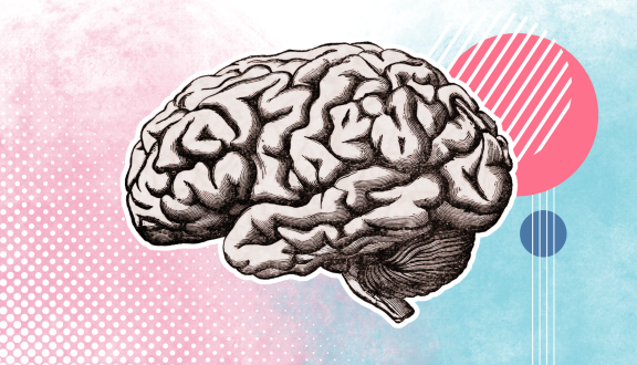 cervello con elementi grafici