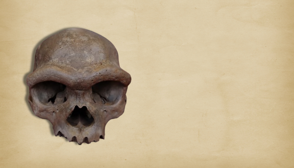 il cranio di denisova analizzato