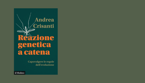 Copertina di Reazione genetica a catena