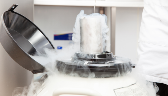 Tank con azoto liquido