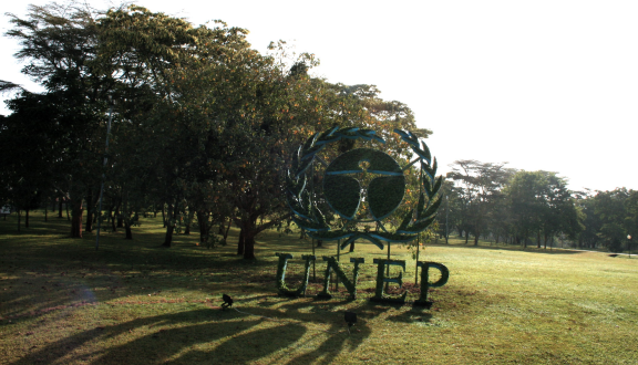 unep cespuglio