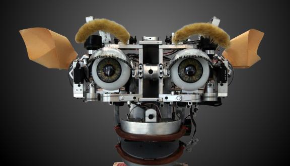 Testa robotica