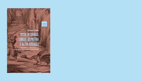 copertina di Ossa di drago di Diego Sala