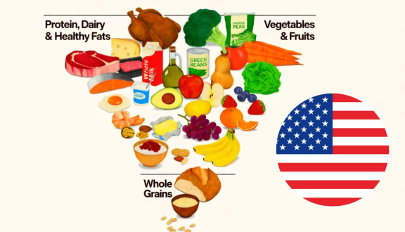 Immagine della nuova piramide alimentare introdotta negli USA