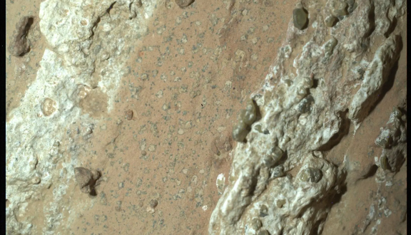 le possibili biofirme individuate da Perseverance