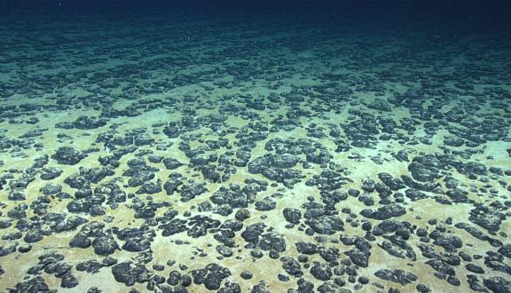 noduli di manganese